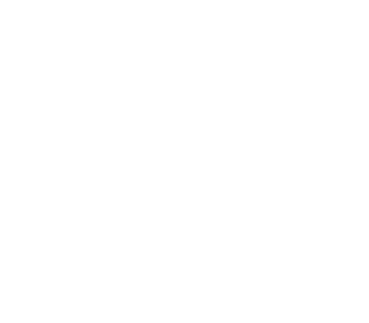 Software Icon